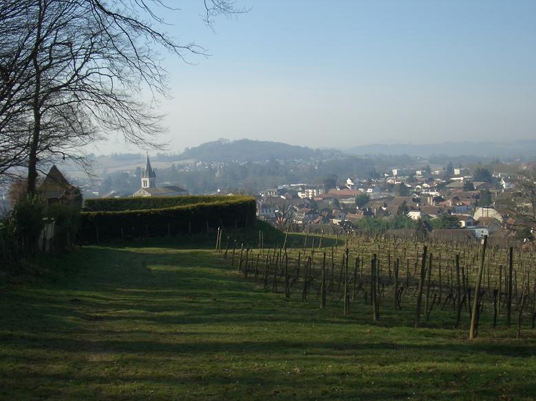 Town from municipal vineyard Town from municipal
vineyard